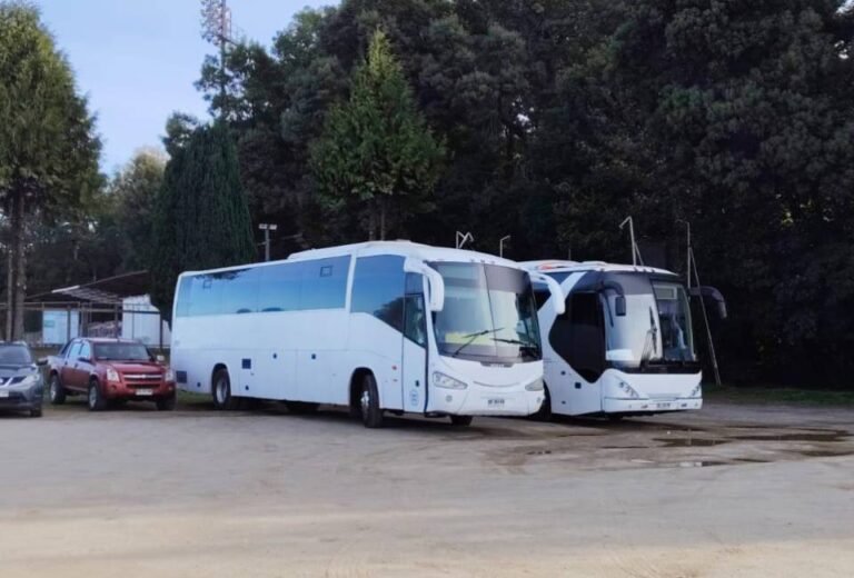 servicio de transporte